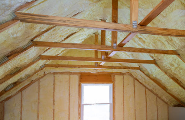 Best Geographic-Specific Insulation Services in Rocky Top, TN
