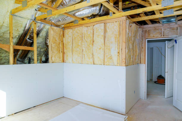 Best Eco-Friendly Insulation in Rocky Top, TN