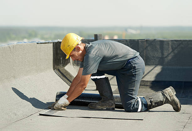 Best Cellulose Insulation in Rocky Top, TN